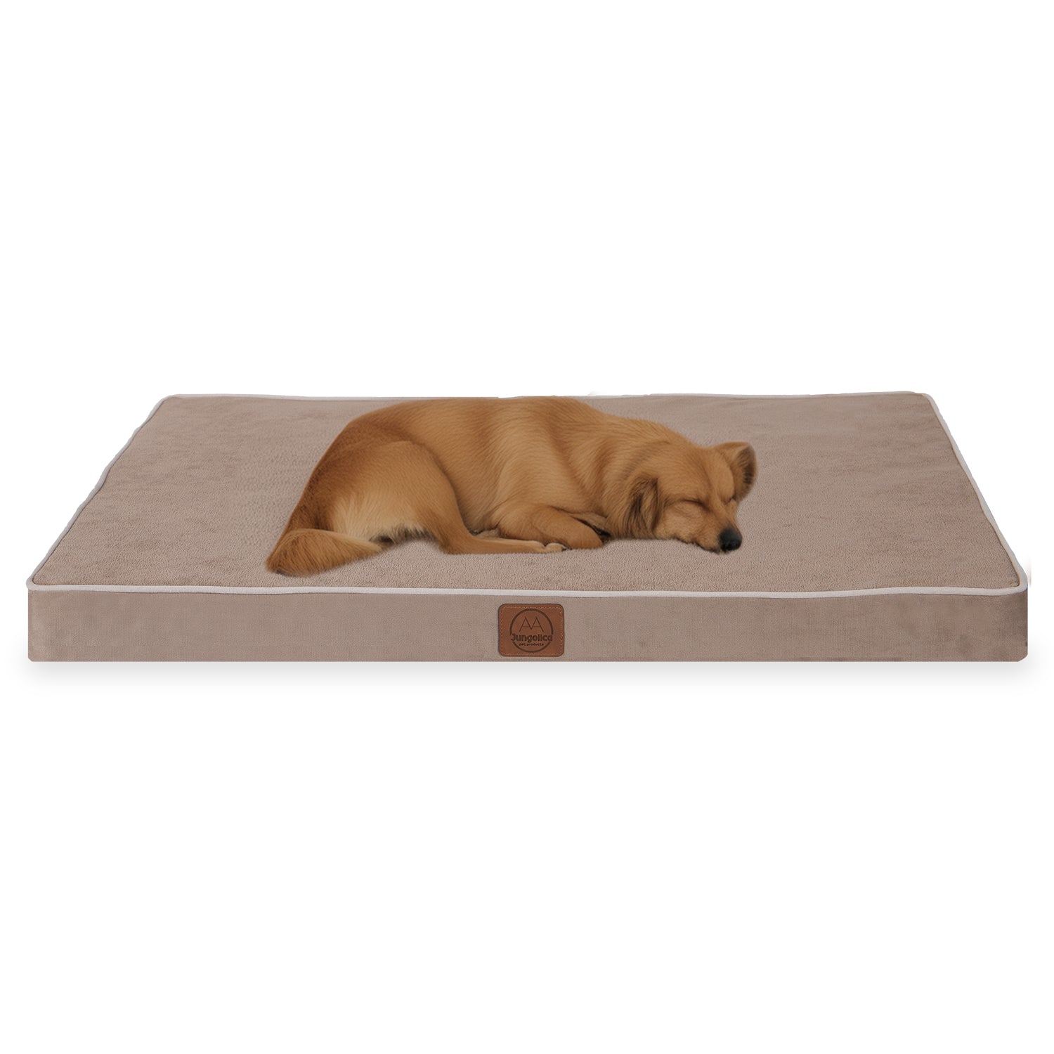 Small dog sleeping on a rectangular beige pet bed with white piping.