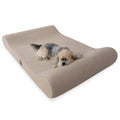 Small dog sleeping on a beige orthopedic pet bed with raised sides.