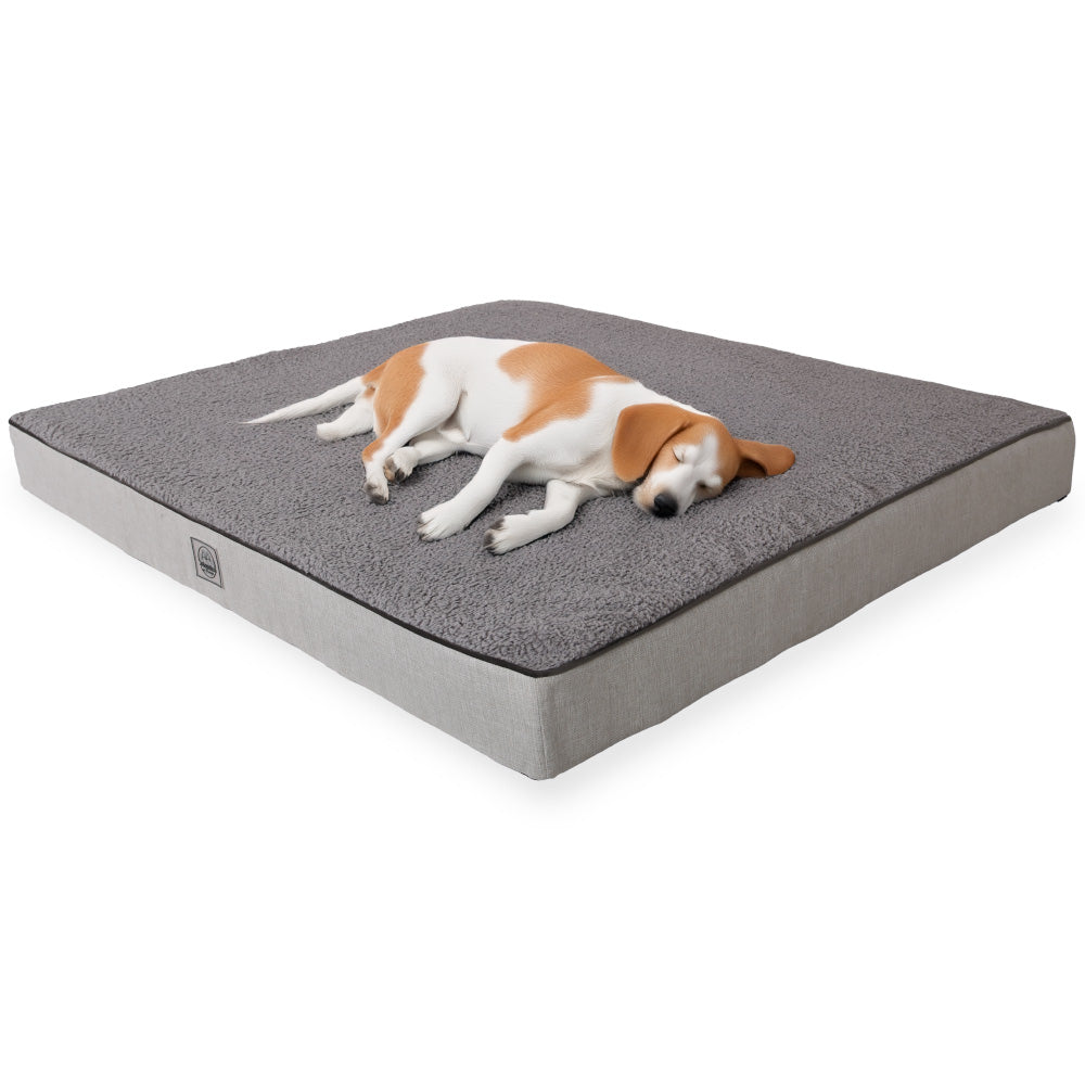 NAPOLYON ORTHOPEDIC PET BED