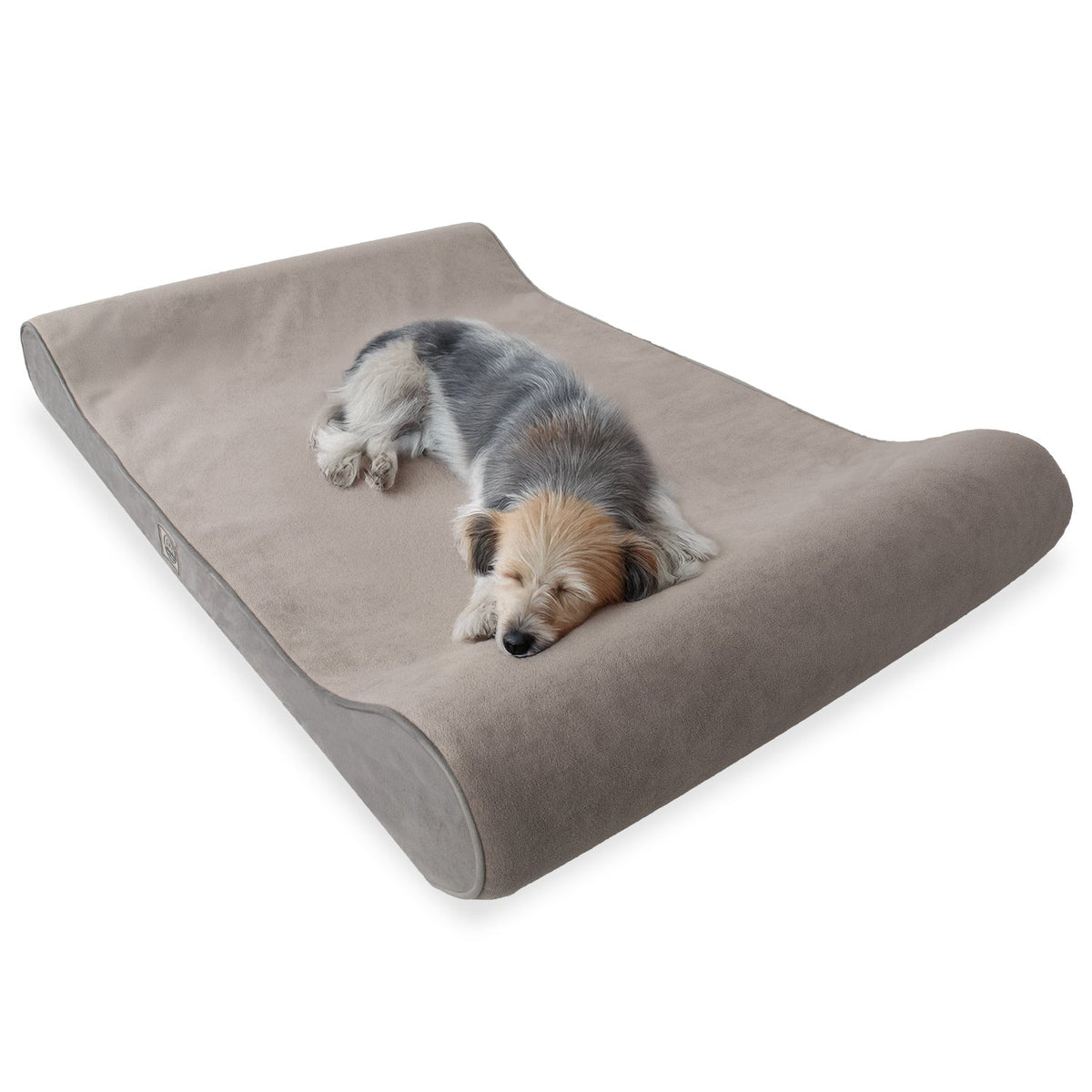 Small dog sleeping on a gray orthopedic pet bed with raised sides, isolated on white