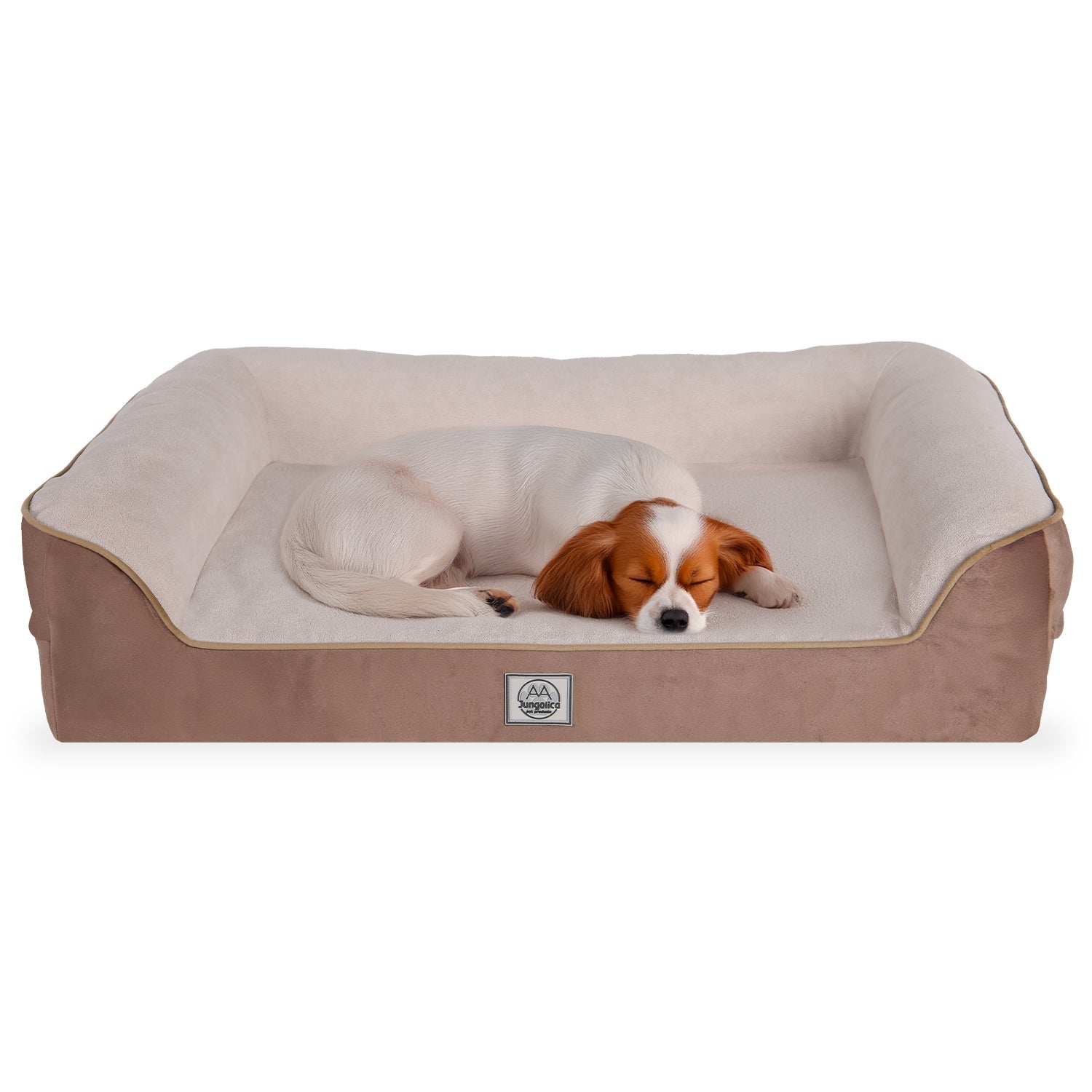 Small dog sleeping on a beige and cream orthopedic pet bed with raised sides