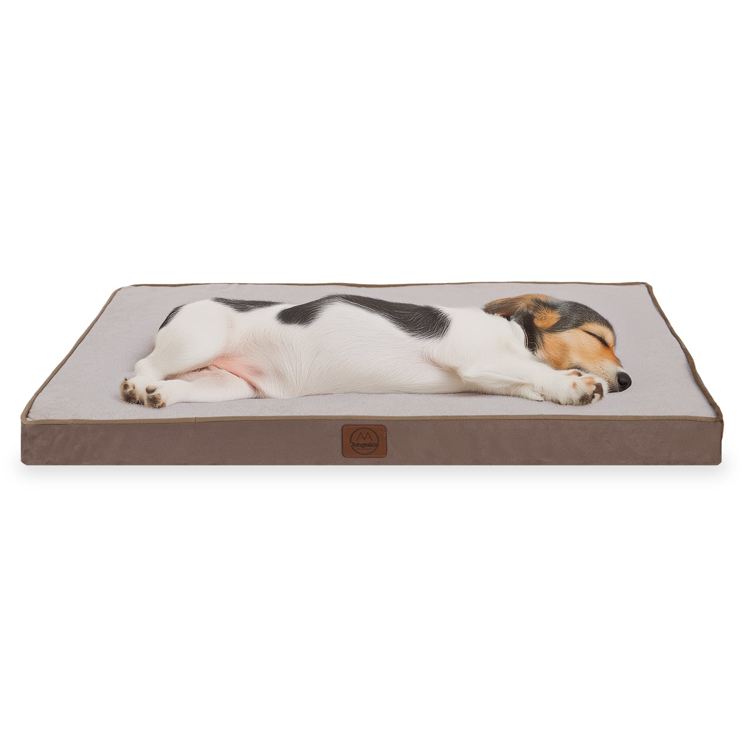 Small dog sleeping on a rectangular beige and light gray pet bed