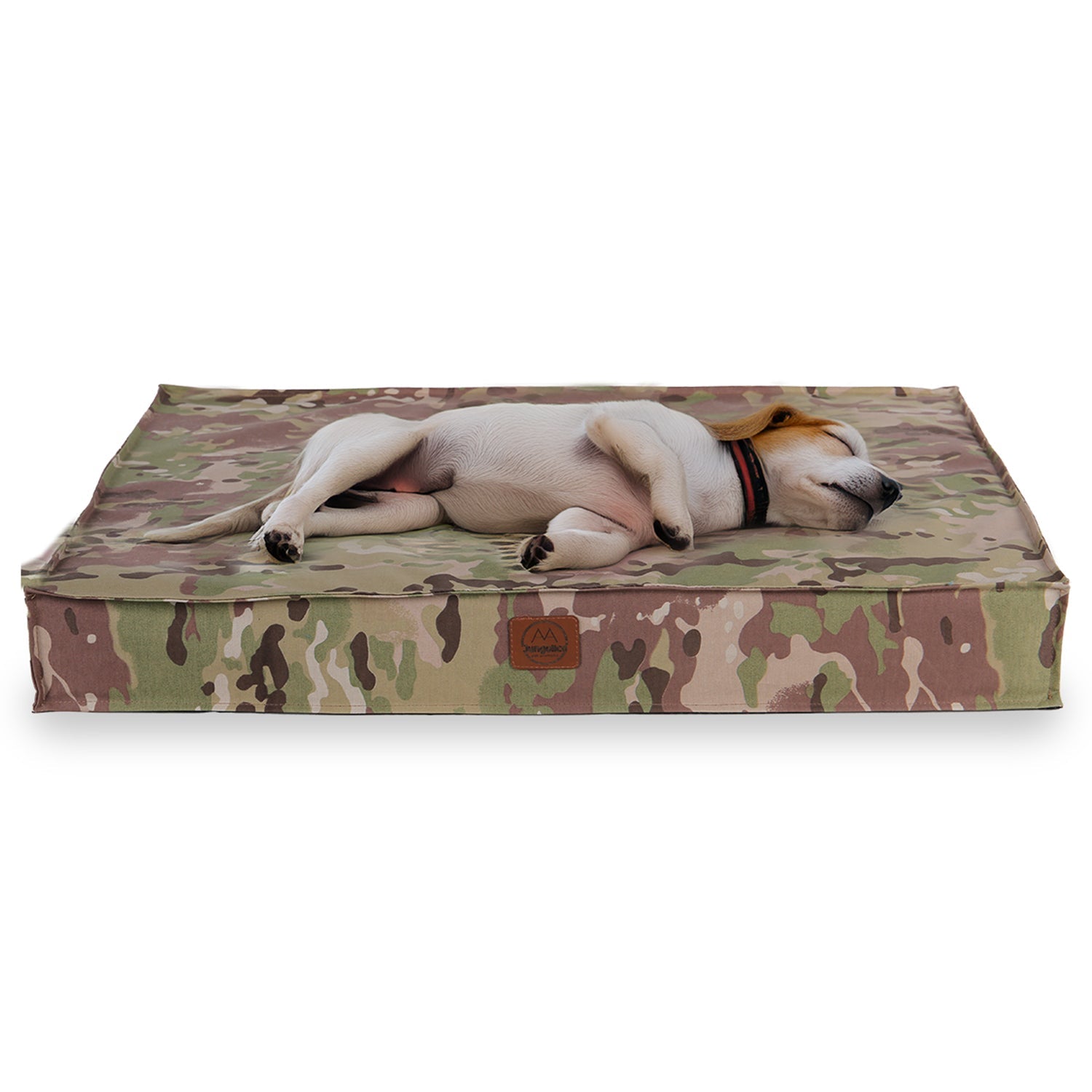 Small dog sleeping on rectangular camouflage dog bed with white background