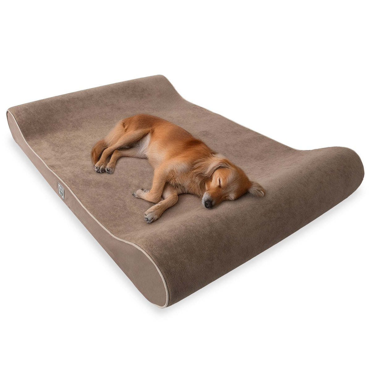 Small brown dog sleeping on a soft, brown orthopedic dog bed with bolster edges