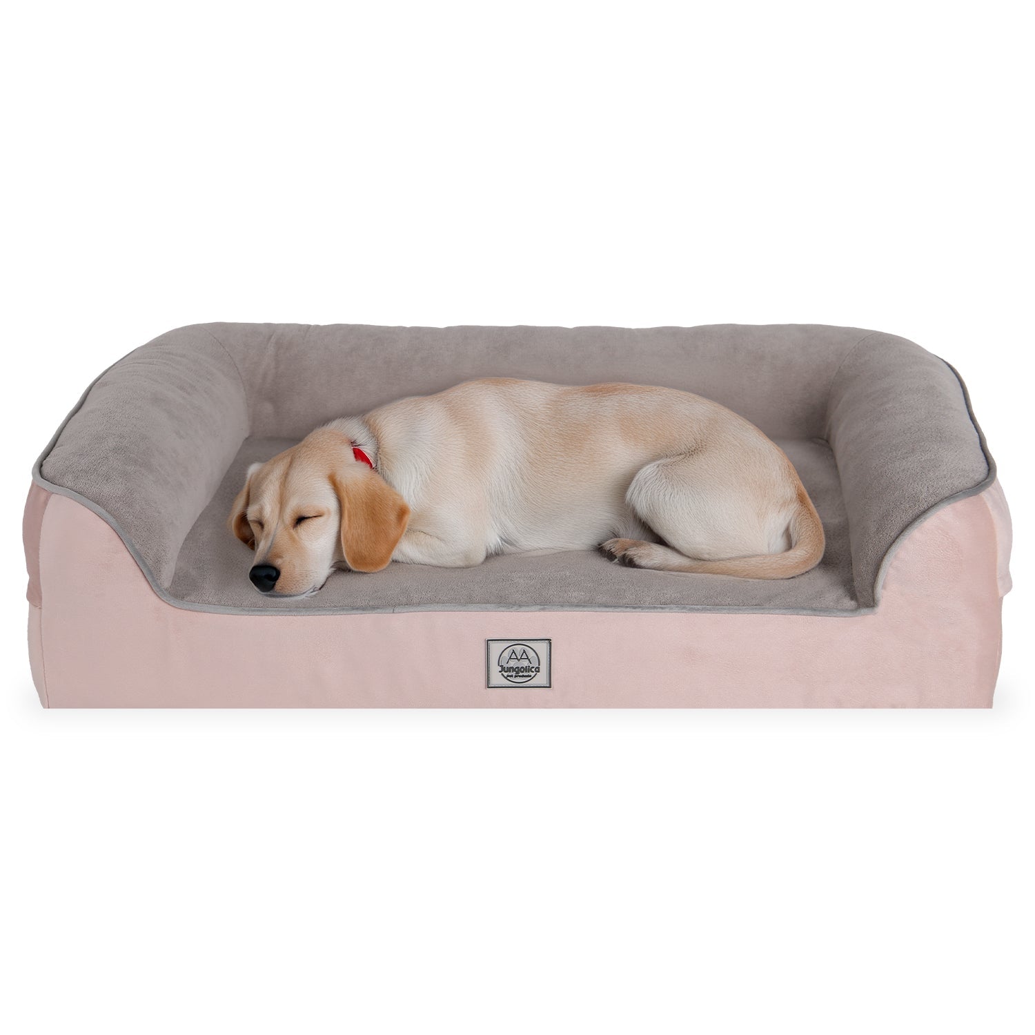 Beige dog sleeping on a soft pink and gray rectangular pet bed