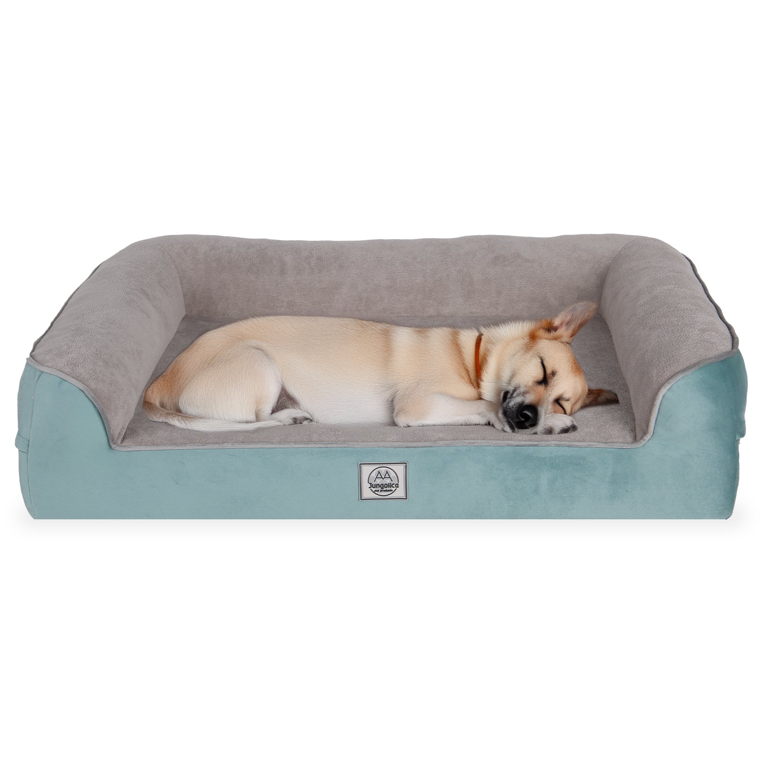 Small dog sleeping on a turquoise and gray rectangular pet bed