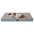 Small dog sleeping on a turquoise and gray rectangular pet bed on white background