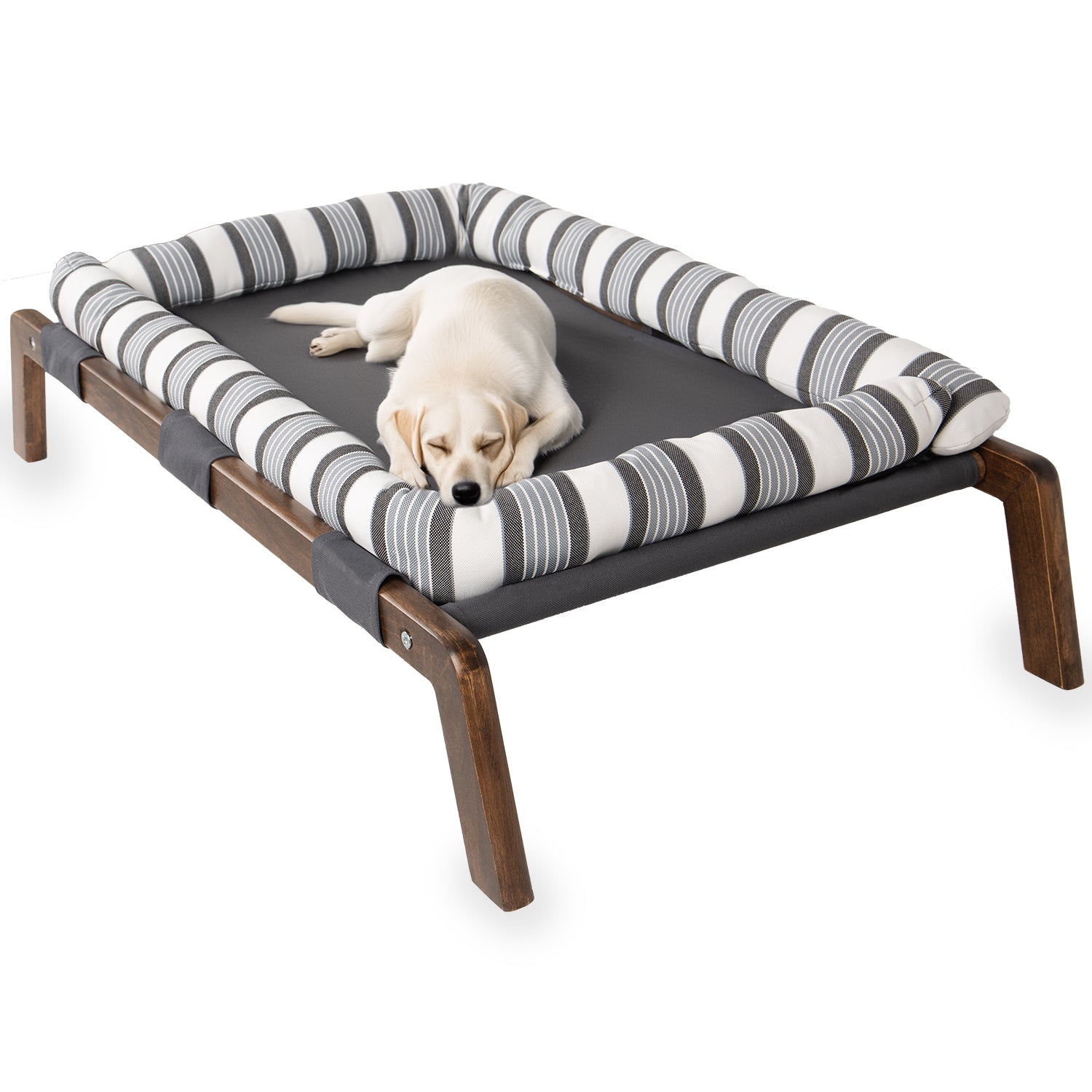 Dog sleeping on a striped, elevated pet bed with wooden frame and cushioned sides