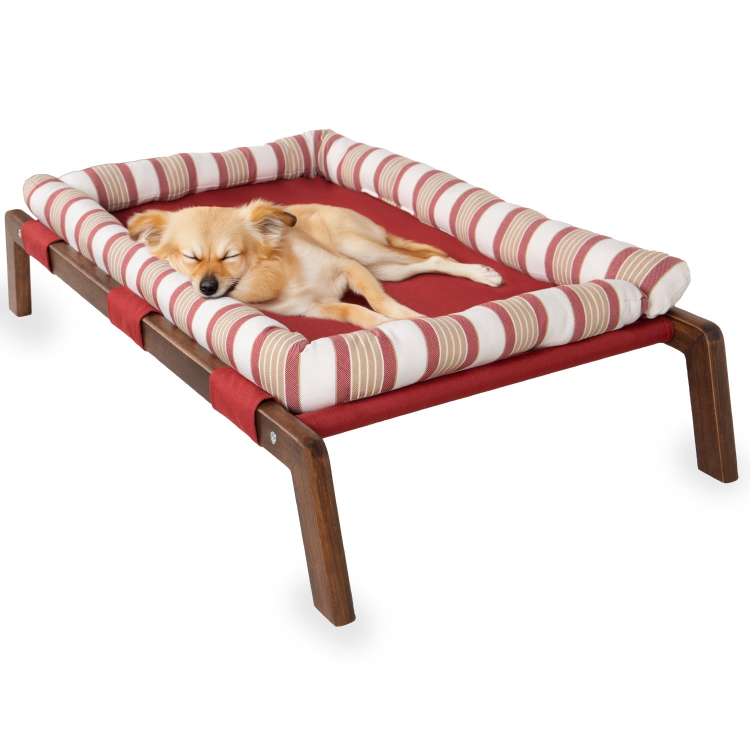 Small dog sleeping on a red elevated pet bed with striped cushion and wooden legs