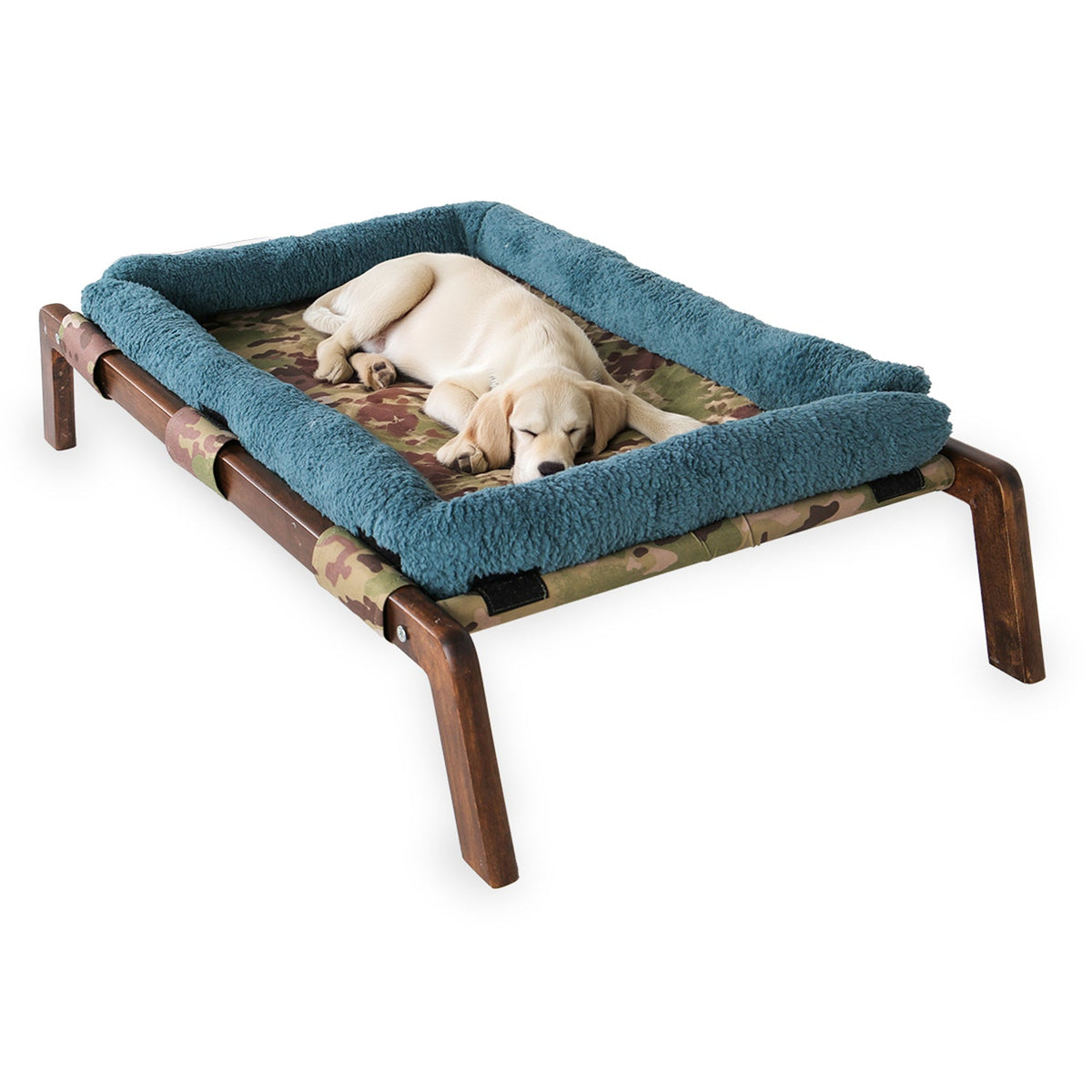 Camouflage elevated pet bed with soft blue border and sleeping puppy