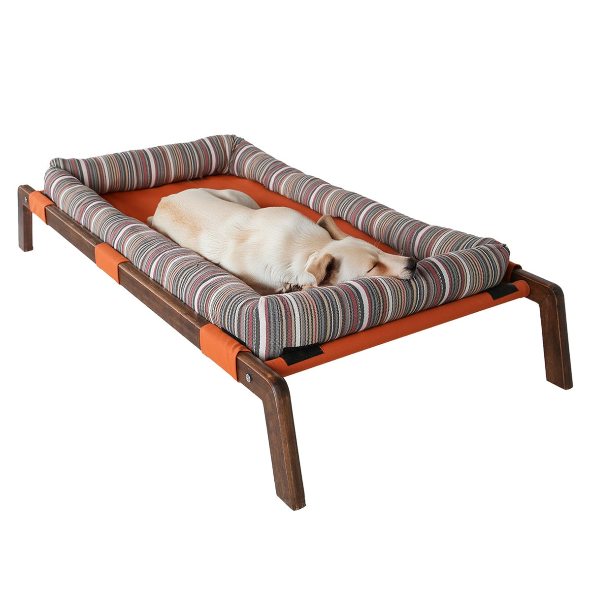 Dog sleeping on orange elevated pet bed with striped cushioned sides