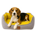 Beagle dog in yellow and gray pet bed against white background
