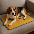 Beagle dog lying on yellow pet mat on beige fabric sofa