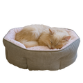 Fluffy cat sleeping in soft round pet bed with plush pink lining