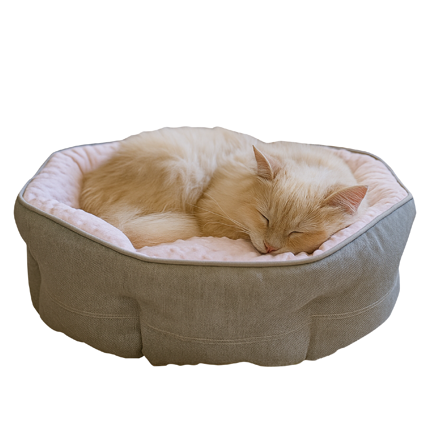 Fluffy cat sleeping in soft round pet bed with plush pink lining