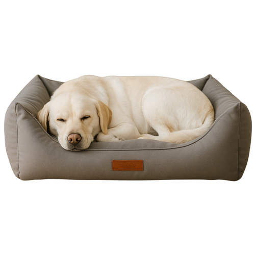 Aqua Clean, Su İtici Kumaş, Ortopedik, Kılıfı Çıkarılabilir, Kaymaz Tabanlı Kedi ve Köpek Yatağı