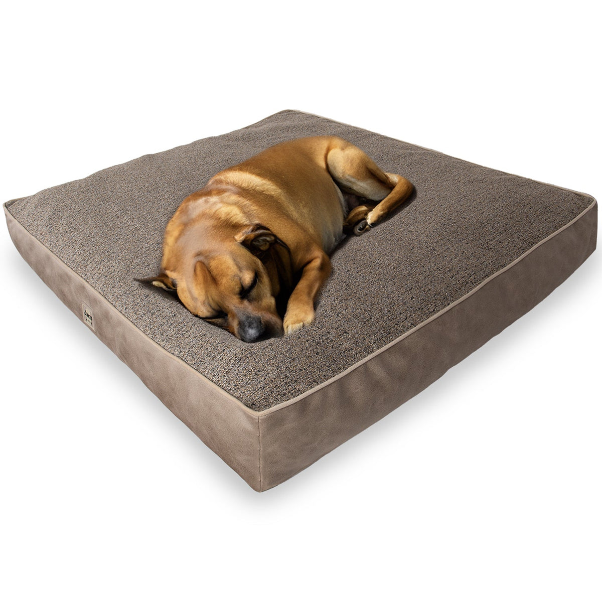 Large brown dog sleeping on a square, textured orthopedic dog bed with taupe sides