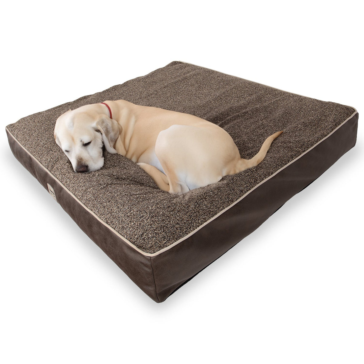 Large tan dog sleeping on a square brown textured orthopedic dog bed