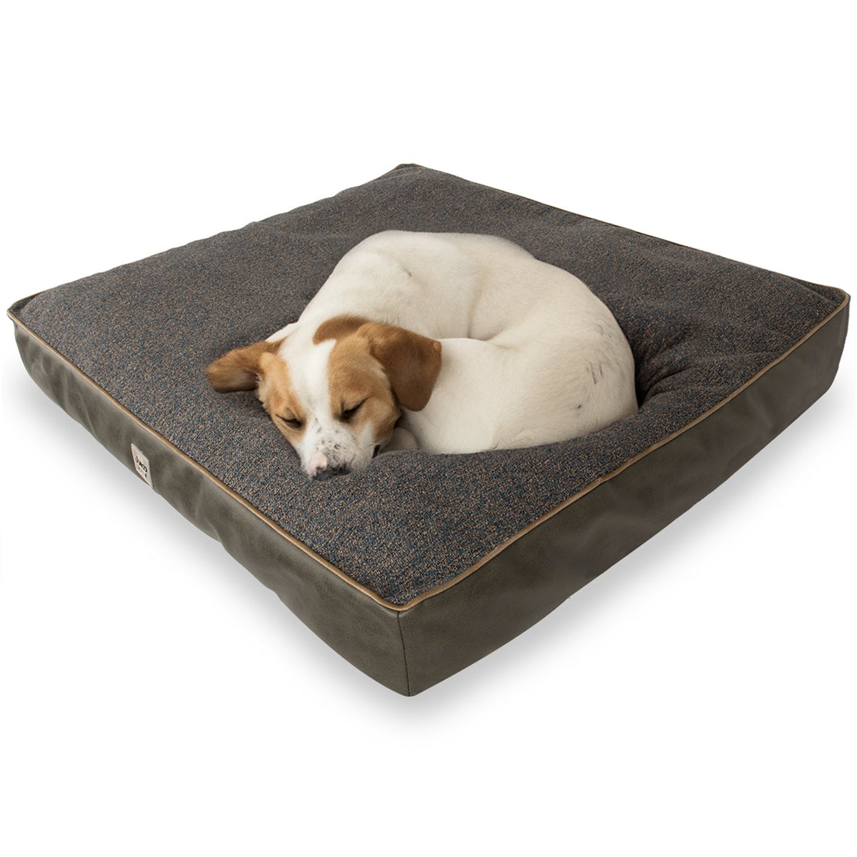 Brown and white dog sleeping on a square, grey fabric pet bed