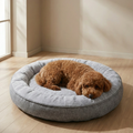 Curly brown dog resting on a round plush gray pet bed in a sunlit room with wood flooring.