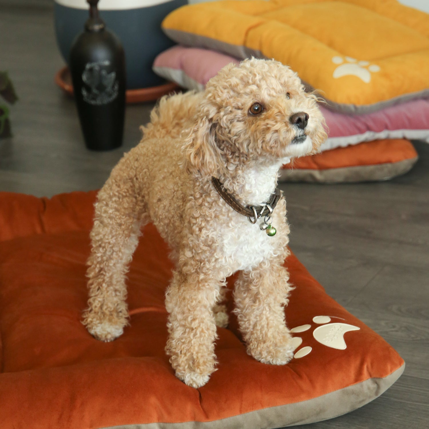 Bolsty Pet Bed