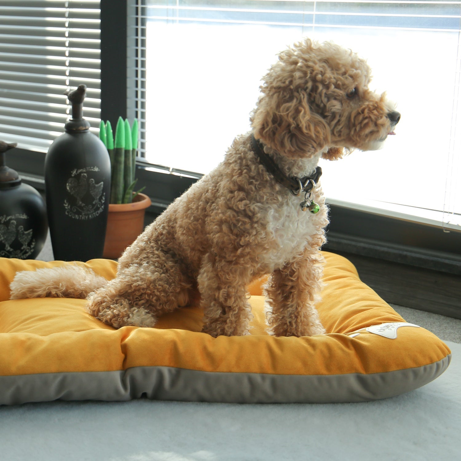 Bolsty Pet Bed