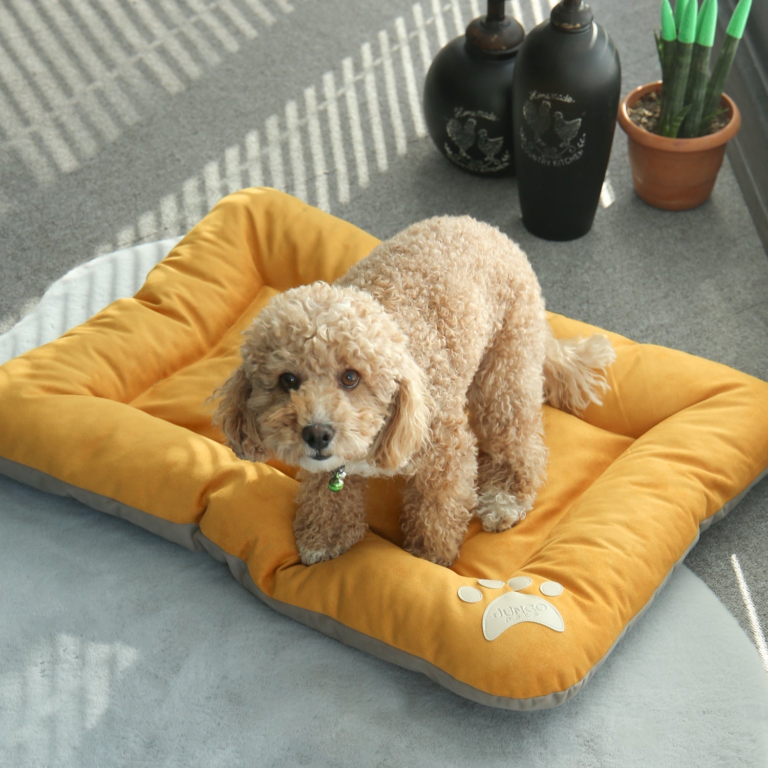 Bolsty Pet Bed