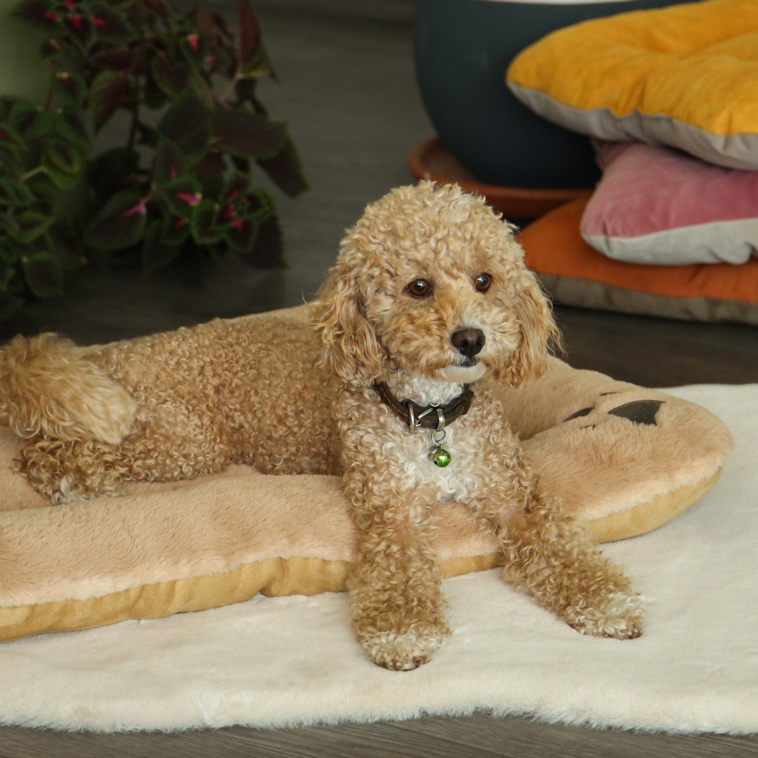 Puffy Pet Bed
