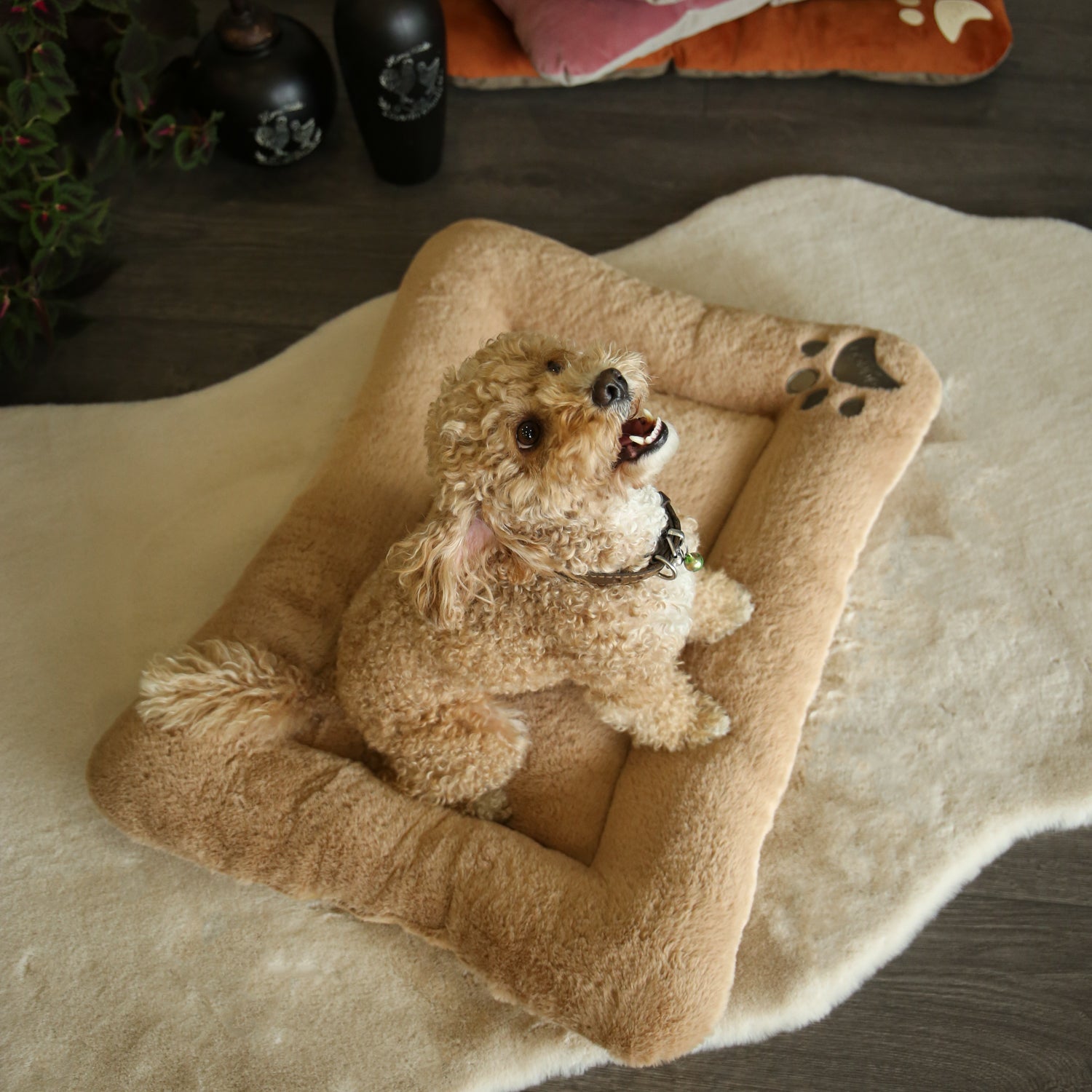 Puffy Pet Bed