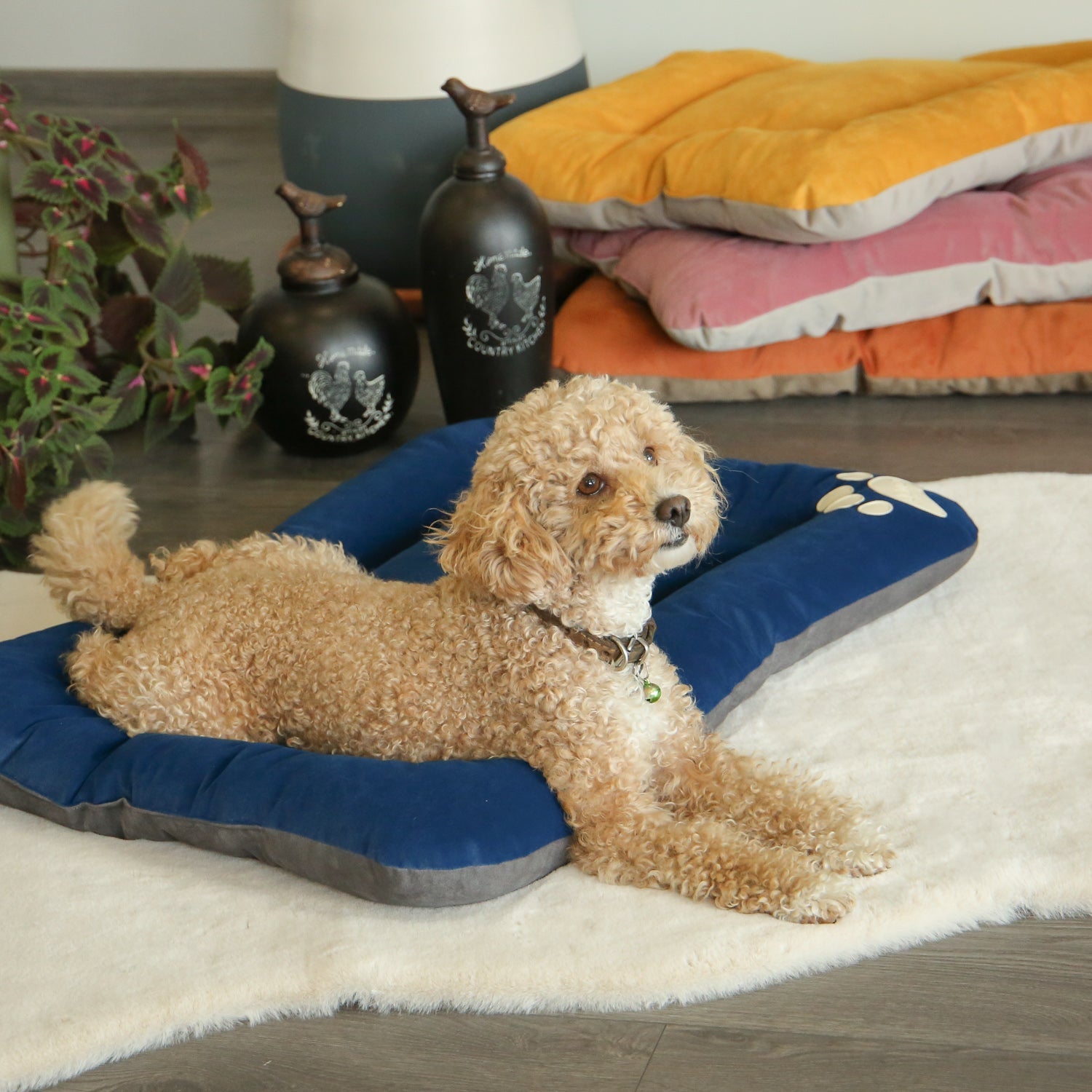 Bolsty Pet Bed