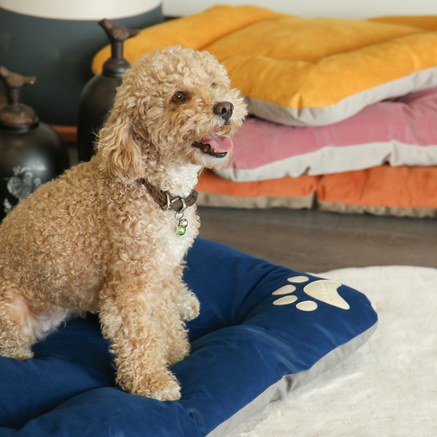 Campy Pet Bed