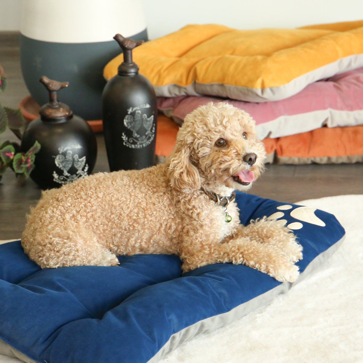 Campy Pet Bed