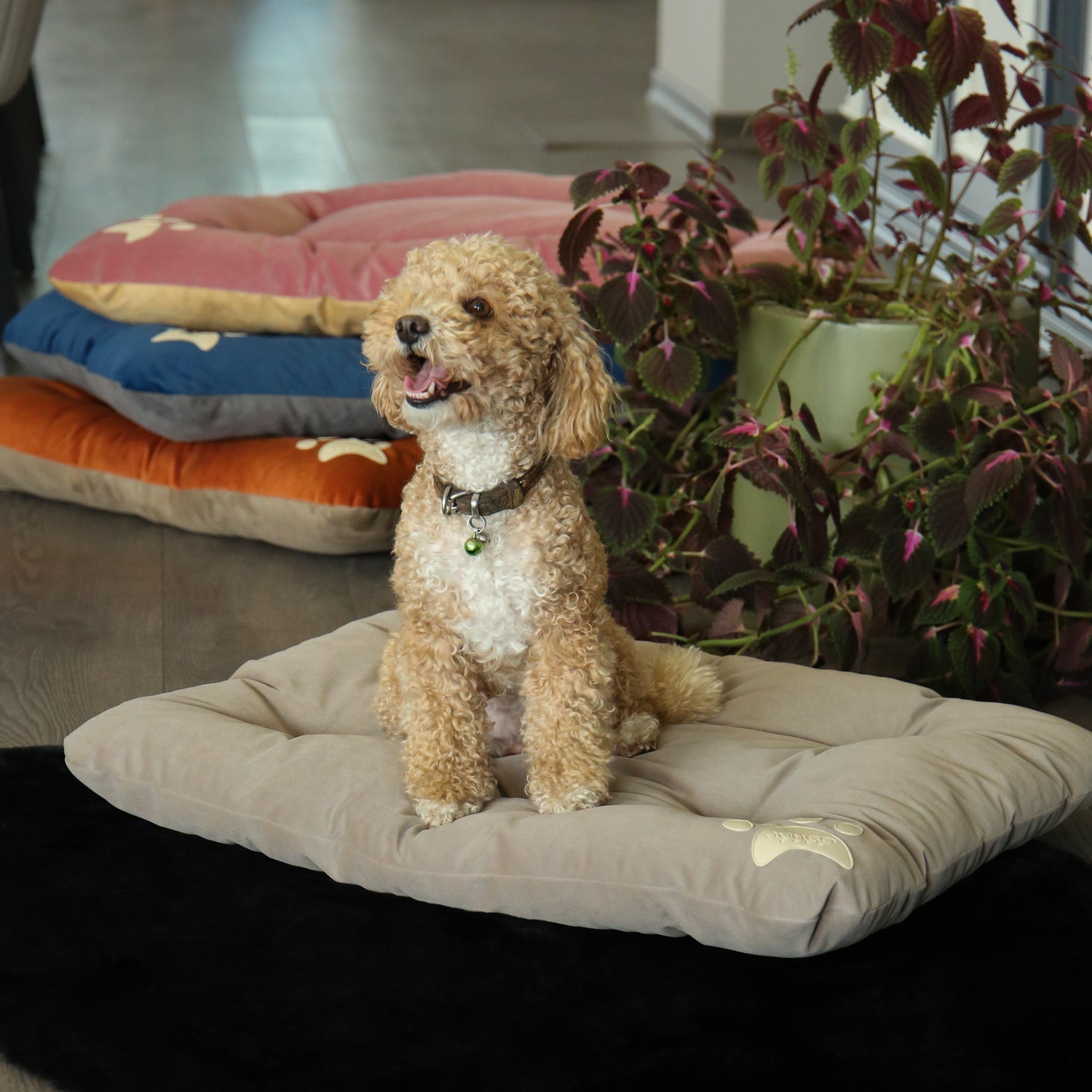 Campy Pet Bed