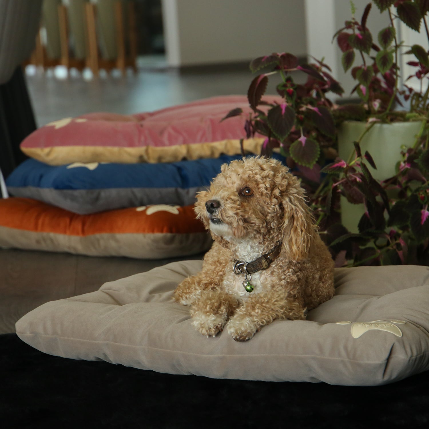 Campy Pet Bed