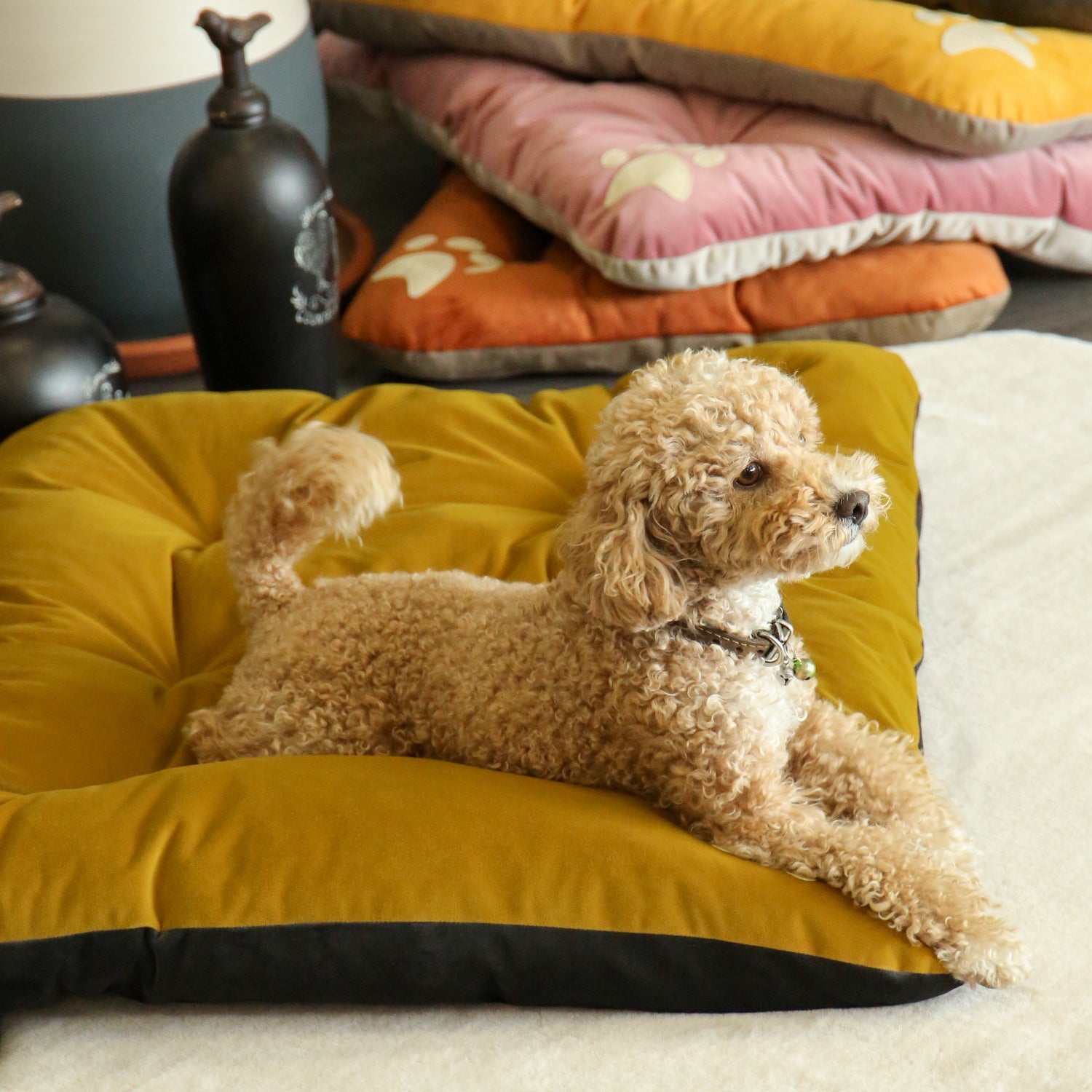 Campy Pet Bed