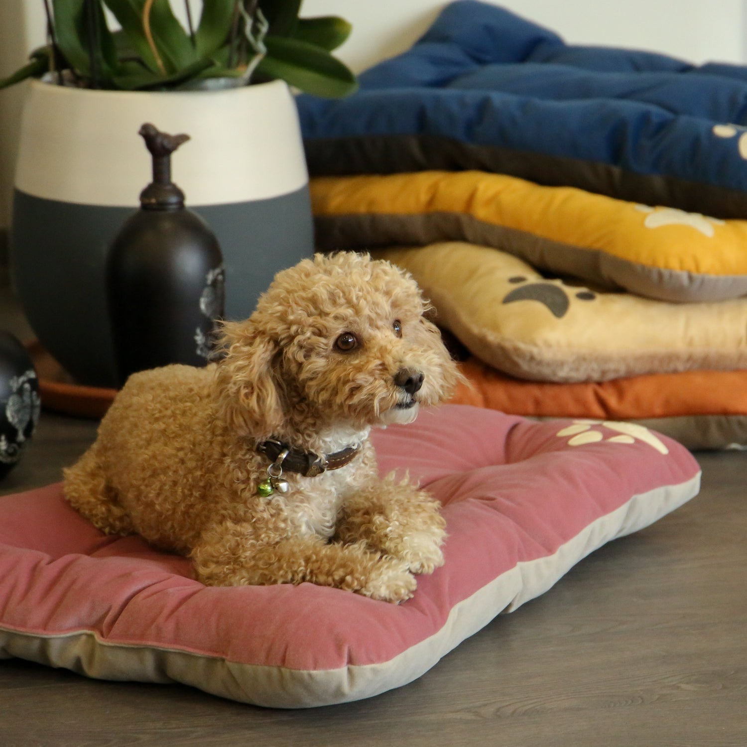 Campy Pet Bed