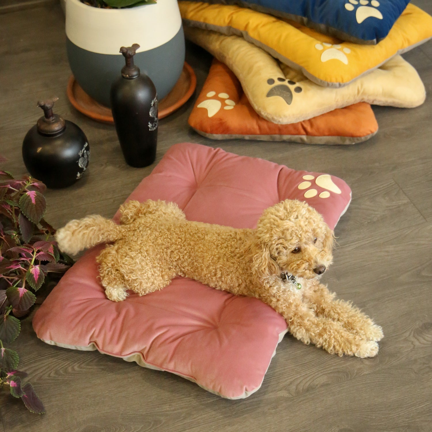 Campy Pet Bed
