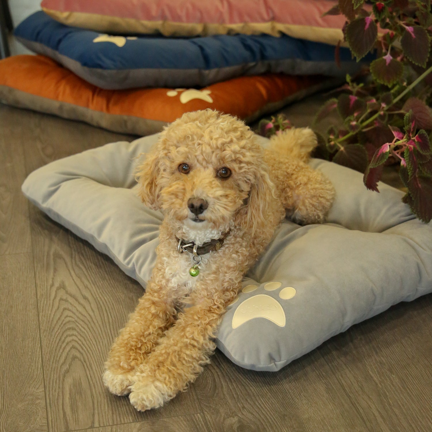 Campy Pet Bed