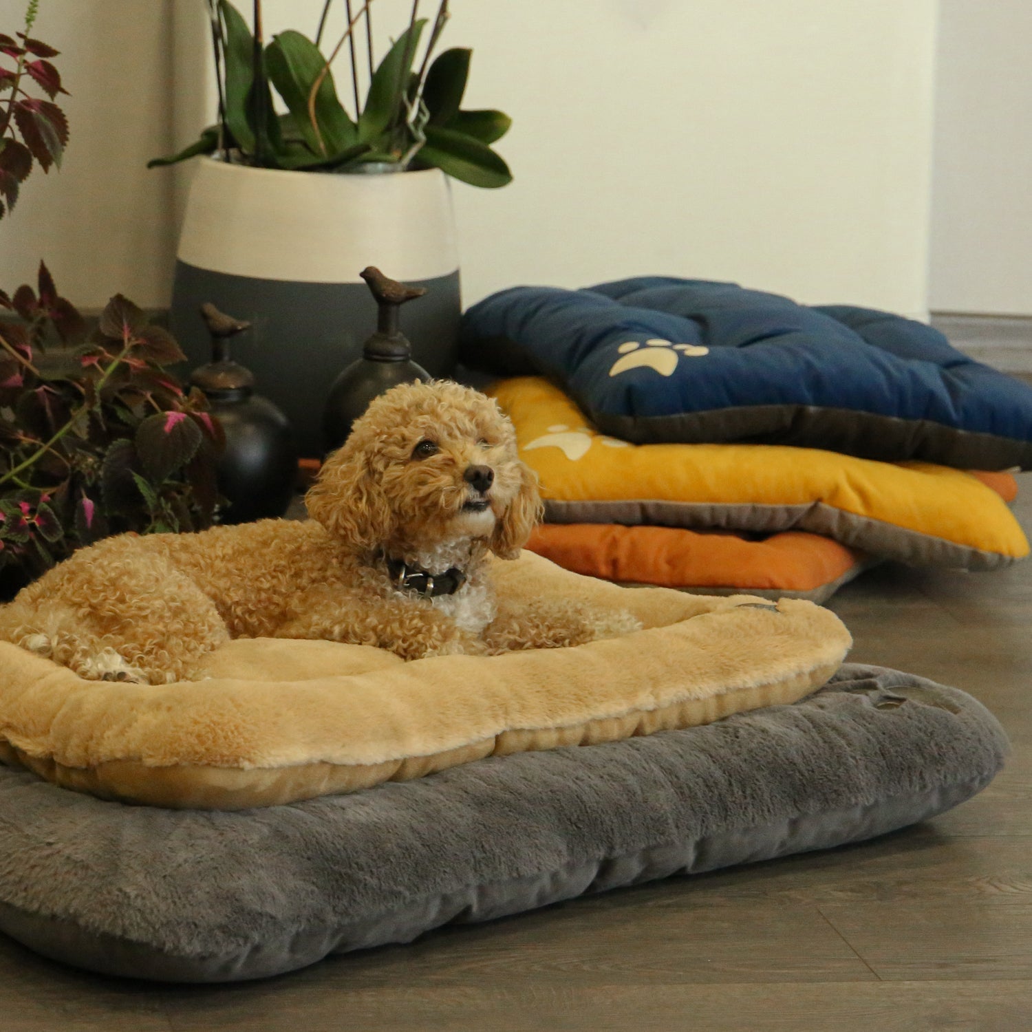 Puffy Pet Bed
