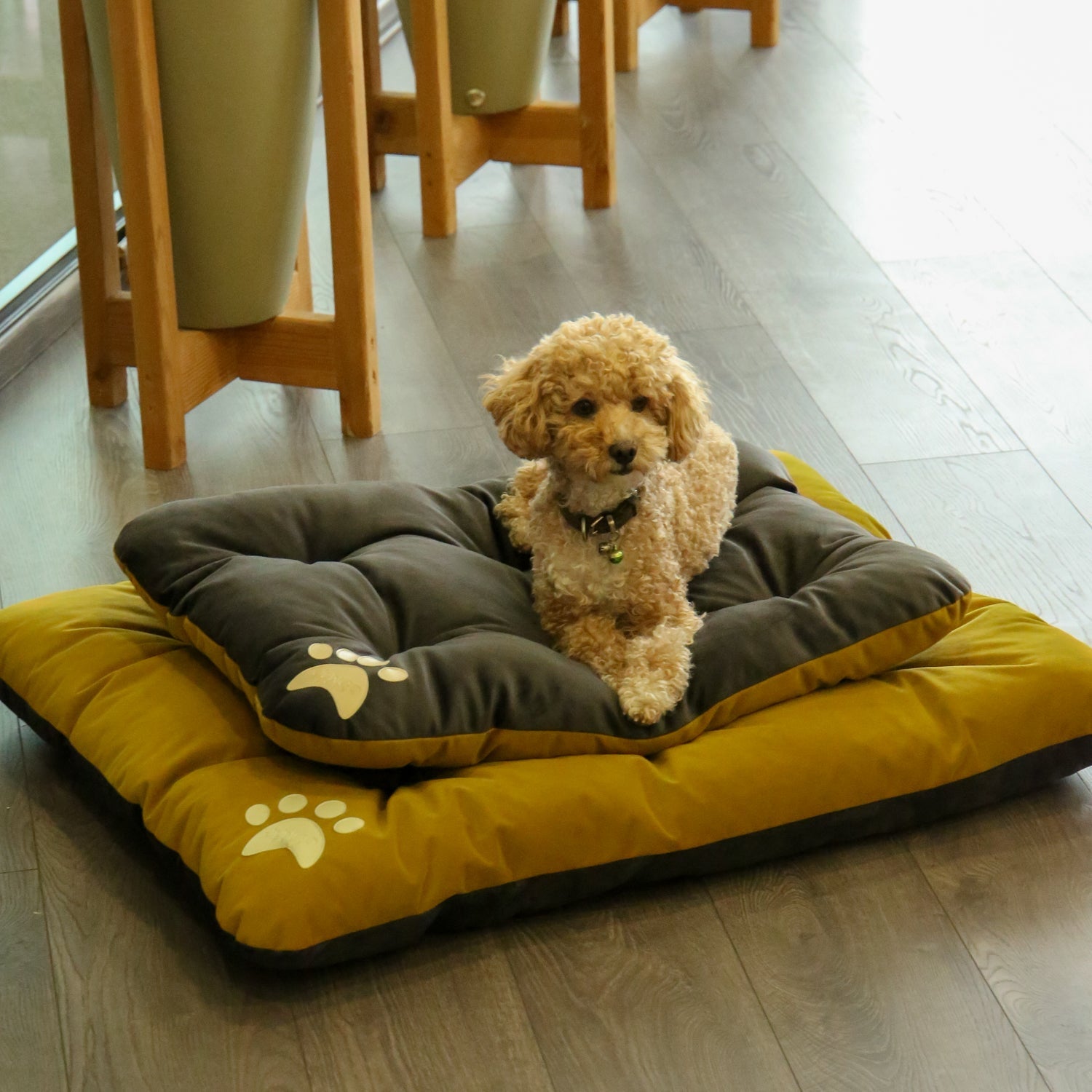Campy Pet Bed