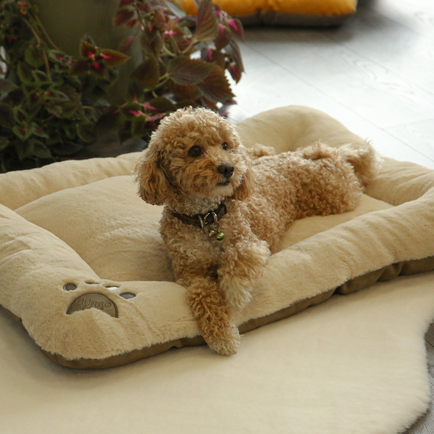 Puffy Pet Bed
