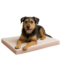 Happy dog lying on a beige orthopedic pet bed against a white background