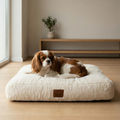Small brown and white dog lying on a plush cream dog bed in a modern living room
