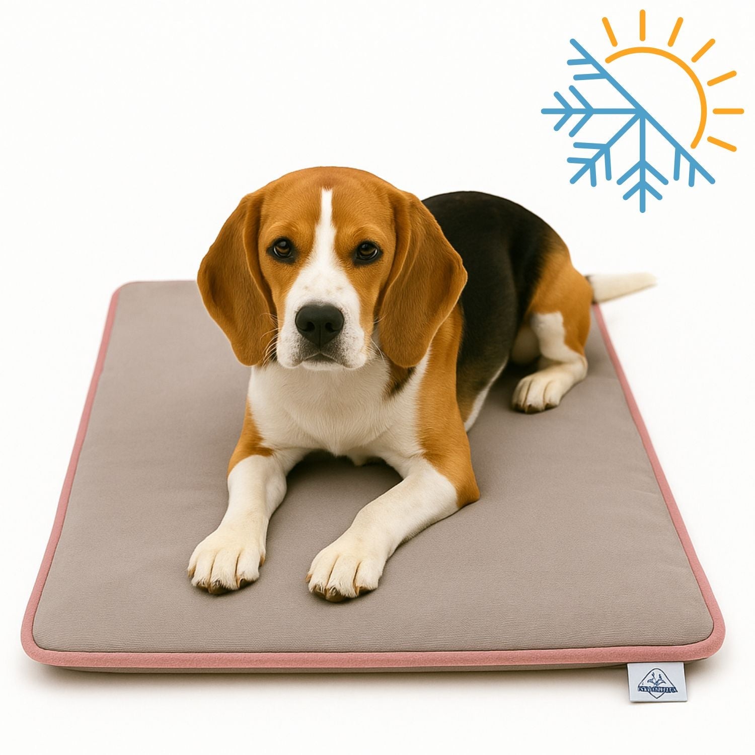 Beagle dog on thermal pet mat with pink trim, gray surface, and cooling-heating icon.
