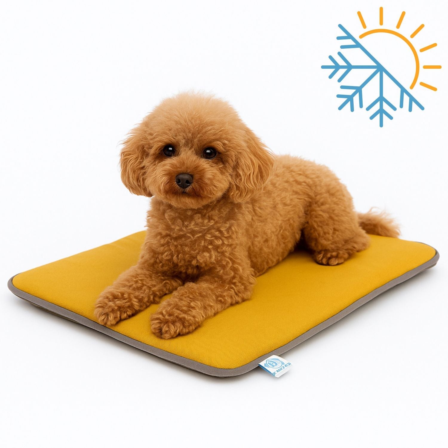 Small brown dog lying on yellow pet mat with sun and snowflake symbol on white background