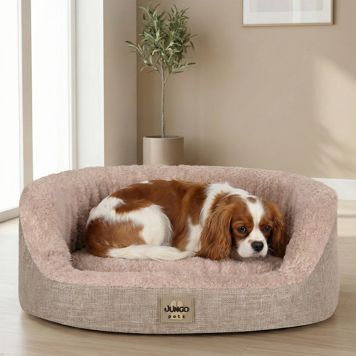 Brown and white dog resting on a plush beige dog bed in a modern, cozy room