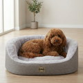 Curly brown dog lying in a soft light grey pet bed in a bright, cozy room