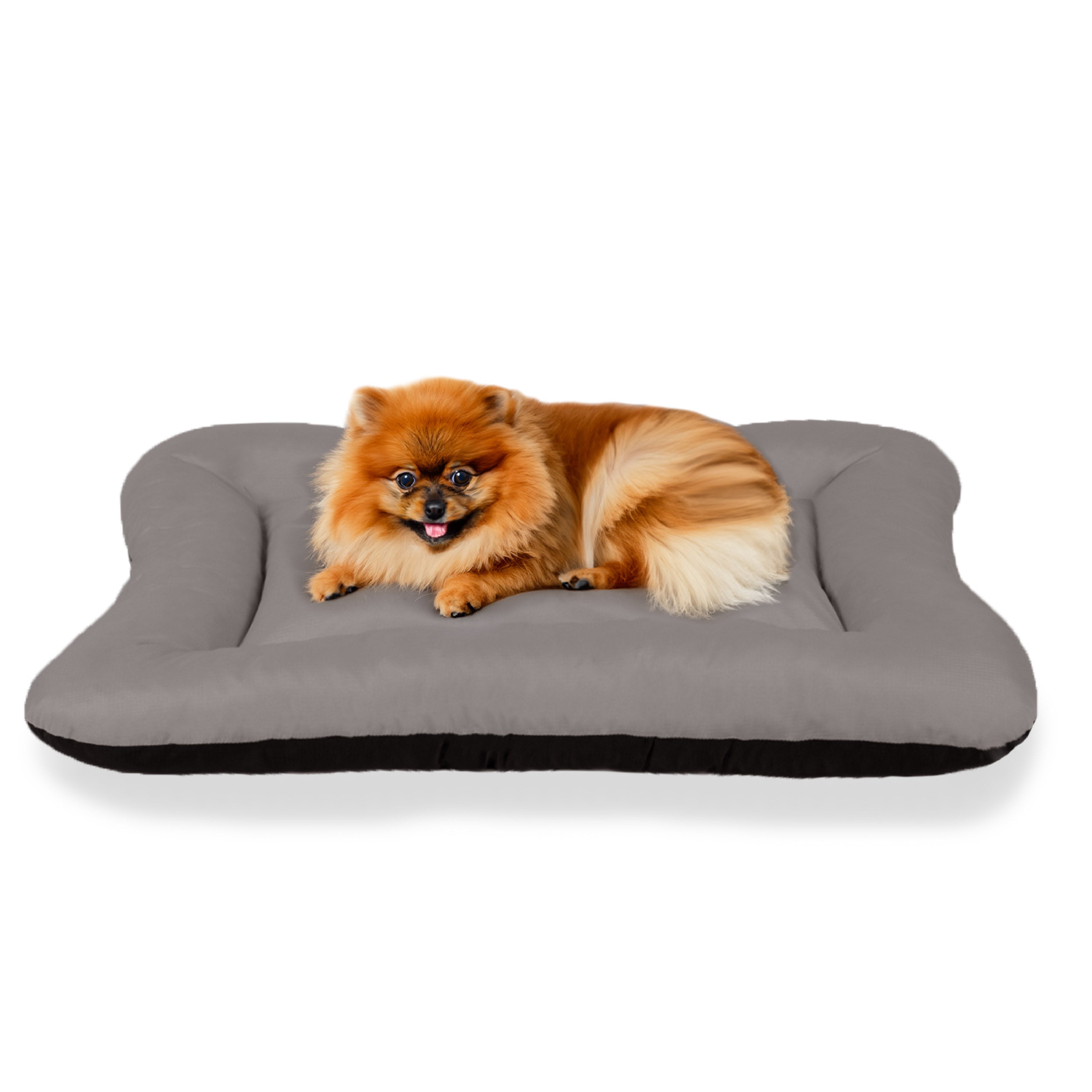 Small fluffy dog lying on a soft gray pet bed against a white background
