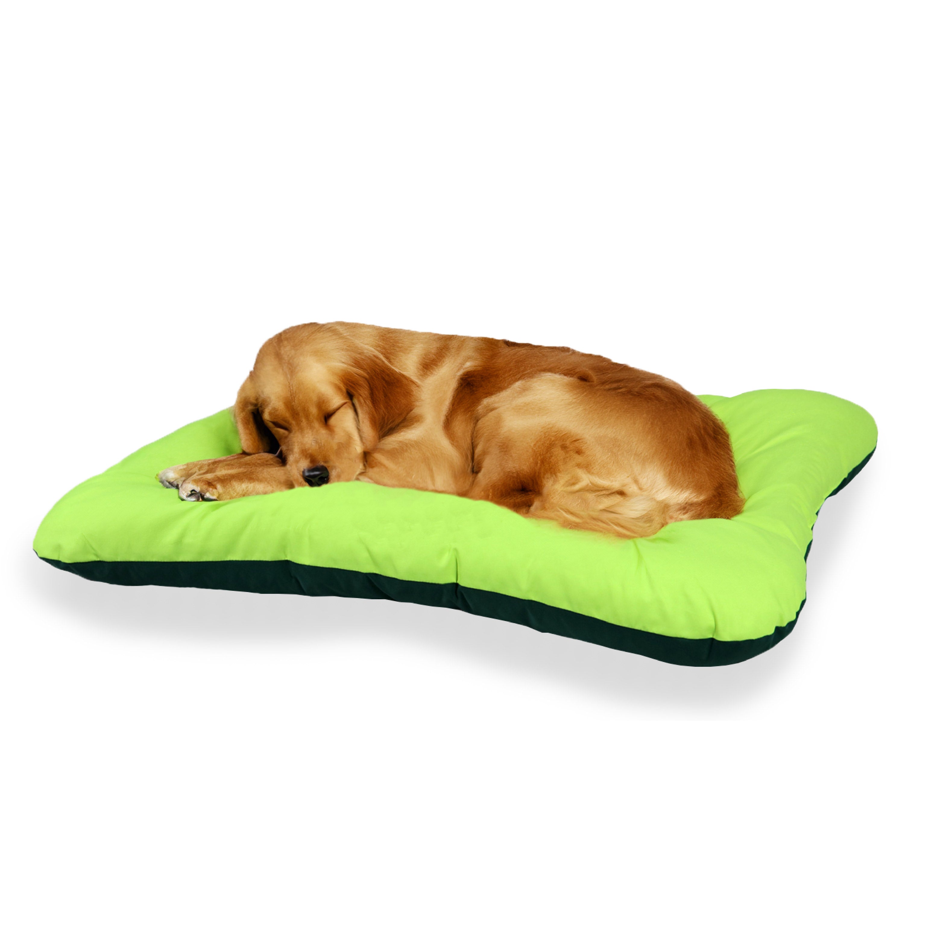 Aqua Outdoor Waterproof Dog Bed