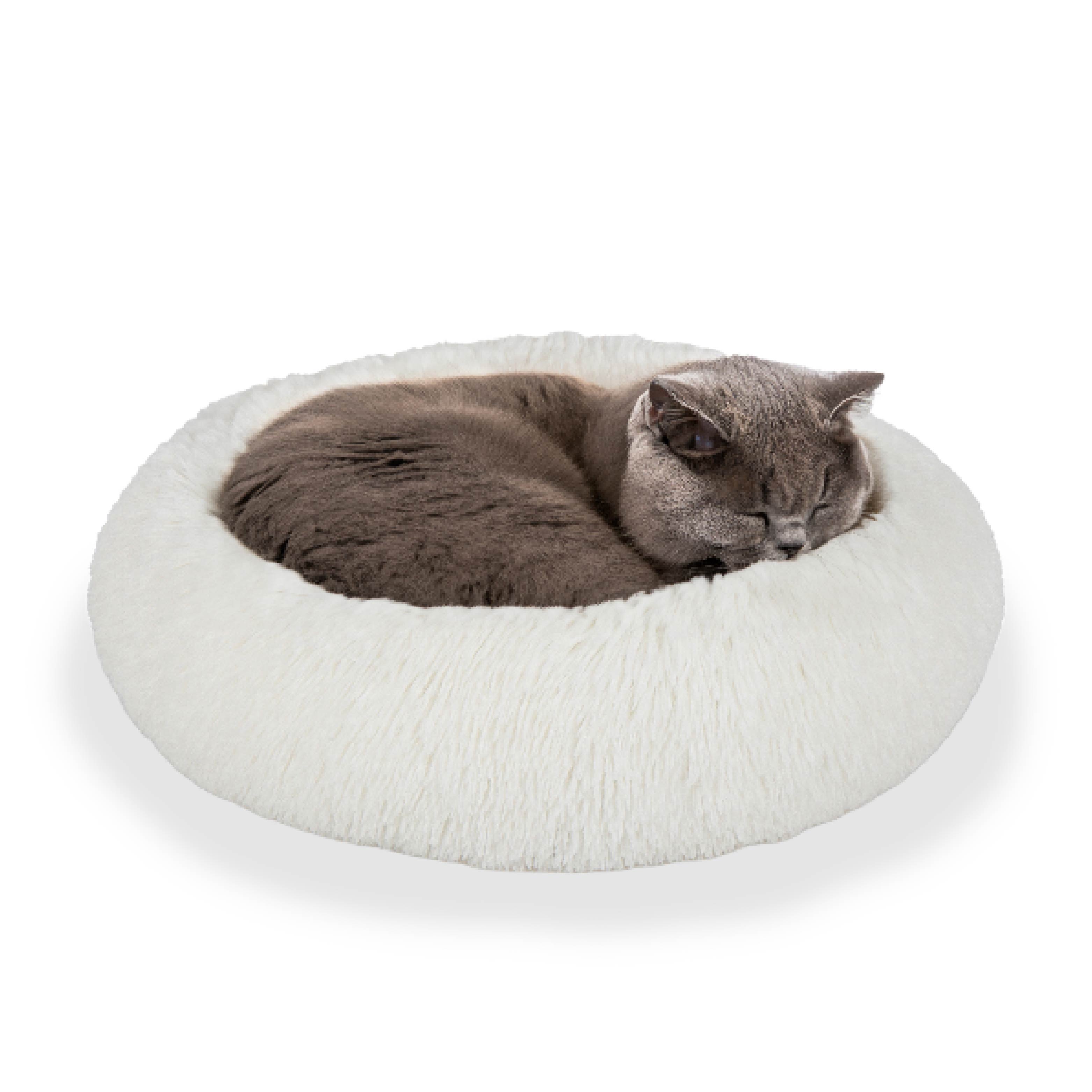 Gray cat sleeping in round white fluffy pet bed on white background